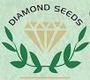 Diamond Seeds Private Limited