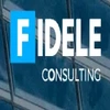 Fidele Consulting India Private Limited