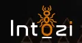 Intozi Tech Private Limited