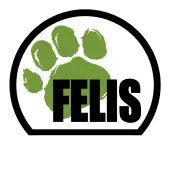 Felis Creations Private Limited