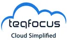 Teqfocus Solutions Private Limited