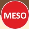 Meso Private Limited