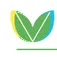 Vector Green Energy Private Limited
