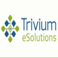 Trivium Esolutions Private Limited