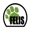 Felis Creations Private Limited