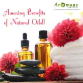 Aromaaz International Private Limited