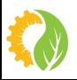 Araush Green Energy Private Limited