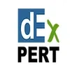 Dexpert Systems Private Limited