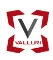 Valluri Change Foundation