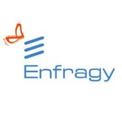 Enfragy Solutions India Private Limited