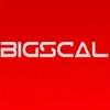 Bigscal Technologies Private Limited