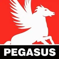 Pegasus Farmaco (India) Private Limited