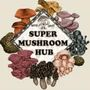 Super Mushroom Hub Private Limited