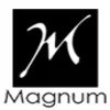 Magnum Mi Steel Private Limited