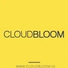 Cloudbloom Systems Llp