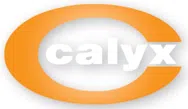Calyx Chemicals And Pharmaceuticals Limited