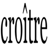 Croitre Consultancy Services Llp