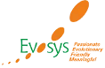 Evosys Consultancy Services Private Limited