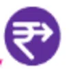 Rapipay Fintech Holding Private Limited