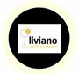 Liviano Lighting Systems Private Limited