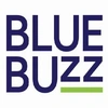 Blue Buzz Media Works Llp