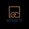 Ecorp Information Technologies Private Limited