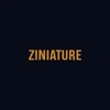 ZINIATURE PRODUCTIONS LLP image