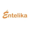 Entelika Consultation And It Services Ll P