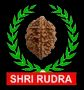 Shri Rudra Trading & Research Services Private Limited