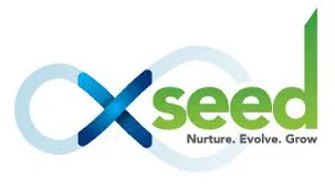 Xseed Consulting Llp