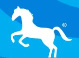 Stallion Onebyte Private Limited