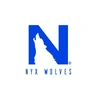 Nyx Wolves Freelance & Business Solutions Private Limited