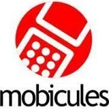 Mn Mobicules Systems Private Limited