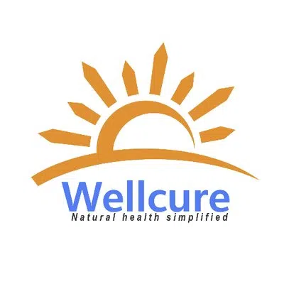 Wellcure Infotech Private Limited