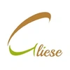 Gliese Solutions Private Limited