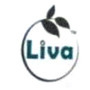 Liva Pumps Private Limited