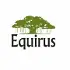 Equirus Wealth Private Limited