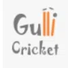 Gulli Cricket Private Limited