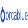 Orcablue Technologies Private Limited