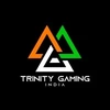 Trinity Gaming India Private Limited