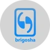 Brigosha Technologies Private Limited