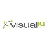 Visual Iq Techno Services India Private Limited