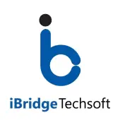 Ibridge Techsoft Private Limited