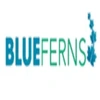 Blueferns Technologies Private Limited