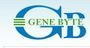 Gene Byte Private Limited