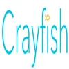 Crayfish Marketing India Private Limited