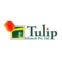 Tulip Infrastructure Private Limited