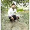 Ashish Jaysawal