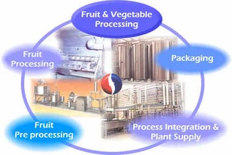 Fruits & Vegetables Processing Machine