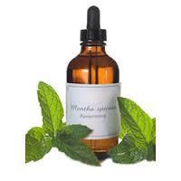 Mentha Arvensis Oil, 1 Kg